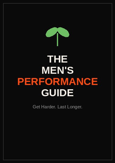 The Men's Performance Guide — cover